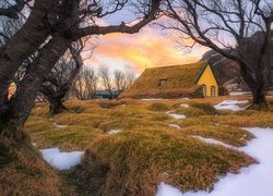Budynek, Kościół Hofskirkja, Góry, Trawy, Drzewa, Śnieg, Osada, Hof, Gmina Hornafjordur, Islandia