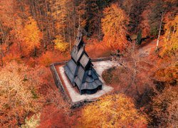 Norwegia, Bergen, Fantoft stavkirke, Kościół klepkowy, Jesień, Drzewa