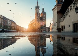 Polska, Kraków, Kościół Mariacki, Kamienice, Kałuża, Odbicie