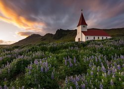 Kościół, Łąka, Łubin, Góry, Chmury, Vik i Myrdal, Islandia