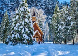 Stany Zjednoczone, Kalifornia, Park Narodowy Yosemite, Zima, Kościół, Kaplica, Świerki, Ośnieżone, Drzewa