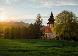 Kościół pośród drzew