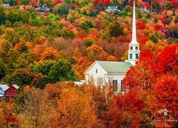 Stany Zjednoczone, Vermont, Stowe, Kościół, Stowe Community Church, Domy, Drzewa, Jesień