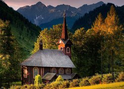 Słowacja, Tatrzańska Jaworzyna, Góry, Tatry, Kościół św Anny, Drzewa