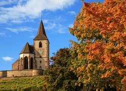 Francja, Miejscowość Hunawihr, Kościół św. Jakuba Majora, Church Saint Jacques le Majeur, Drzewa