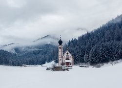 Włochy, Prowincja  Bolzano, Rejon Trydent-Górna Adyga, Dolina Val di Funes, Kościół św. Jana, Dolomity, Zima, Mgła, Góry, Las, Drzewa