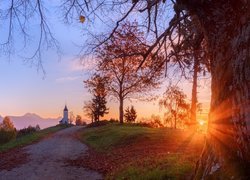 Słowenia, Wieś, Begunje na Gorenjskem, Góry, Wzgórze, Kościół św Piotra, Droga, Drzewa, Promienie słońca, Jesień