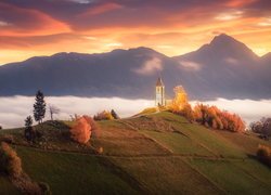 Kościół św Primusa i Felicjana, Wzgórze, Góry, Drzewa, Jesień, Wieś Jamnik, Słowenia