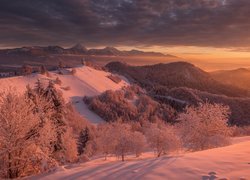 Słowenia, Płaskowyż Jelovica, Gmina Kranj, Osada Jamnik, Kościół św. Prymusa i Felicjana, Zima, Góry, Drzewa, Wschód słońca