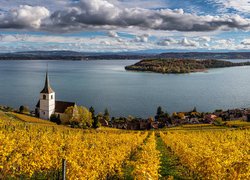 Szwajcaria, Kanton Berno, Gmina Ligerz, Jezioro, Bielersee, Kościół, Winnica