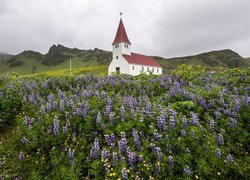 Kościół, Łubin, Góry, Miejscowość Vik i Myrdal, Gmina Myrdalshreppur, Islandia