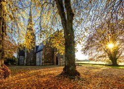 Irlandia Północna, Hrabstwo Tyrone, Strabane, Kościół, Jesień, Drzewa, Promienie słońca