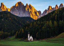 Kościół, Las, Góry, Dolina Val di Funes, Góry, Dolomity, Villnoss, Włochy