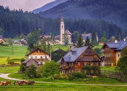 Miejscowość Gosau, Powiat Gmunden, Austria, Góry Dachstein, Kościół, Domy, Droga, Pastwisko, Krowy, Lasy, Drzewa, Mgła