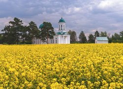 Kościół z zielonym dachem obok pola rzepaku