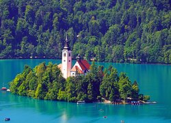 Słowenia, Wyspa, Blejski Otok, Kościół Zwiastowania Marii Panny, Jezioro Bled, Lasy, Drzewa