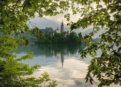 Słowenia, Jezioro Bled, Wyspa Blejski Otok, Kościół Zwiastowania Marii Panny, Zieleń, Gałęzie