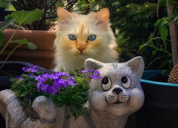 Kot obok doniczki w kształcie kota z kwiatami
