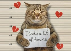 Kot trzymający kartkę z napisem I broke a lot of hearts