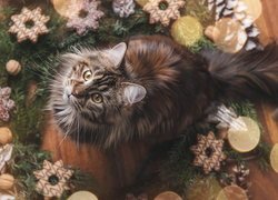 Kot wśród świątecznych dekoracji patrzący w górę