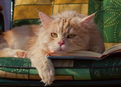 Kot, Kanapa, Książka