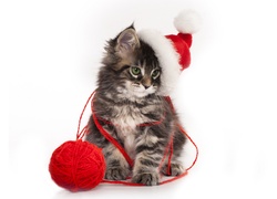 Kotek w czapce Mikołaja z kłębkiem wełny