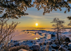 Finlandia, Kotka, Zatoka Fińska, Morze Bałtyckie, Zima, Drzewa, Kamienie, Promienie słońca