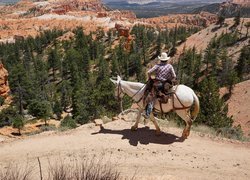 Koń, Kowboj, Kanion, Park Narodowy Bryce Canyon, Stan Utah, Stany Zjednoczone