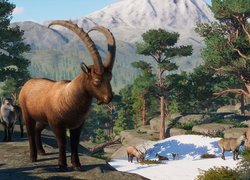 Koziorożce alpejskie w grze Planet Zoo