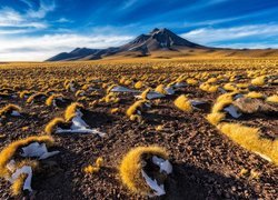 Krajobraz chilijskiej gminy San Pedro de Atacama