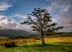Krajobraz doliny Nantlle Valley w Walii