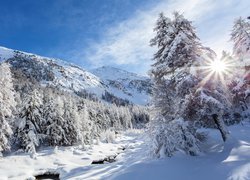 Krajobraz górski zimą w promieniach słońca