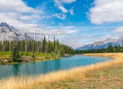 Góry, Rzeka, Las, Chmury, Park Narodowy Banff, Alberta, Kanada