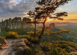 Zachód słońca, Góry Połabskie, Park Narodowy Saskiej Szwajcarii, Skały, Formacja Bastei, Drzewa, Sosny, Niemcy