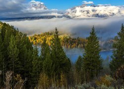 Jesień, Las, Góry, Drzewa, Świerki, Mgła, Krajobraz, Park Narodowy Grand Teton, Stan Wyoming, Stany Zjednoczone