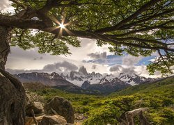 Argentyna, Patagonia, Park Narodowy Los Glaciares, Andy, Góra Fitz Roy, El Chalten, Góry, Drzewo, Promienie słońca, Chmury