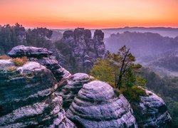 Park Narodowy Saskiej Szwajcarii, Skały, Formacja Bastei, Góry Połabskie, Lasy, Zachód słońca, Sosna, Niemcy