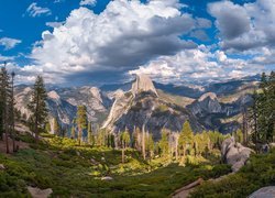 Stany Zjednoczone, Stan Kalifornia, Park Narodowy Yosemite, Drzewa, Góry, Sierra Nevada, Chmury