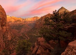 Góry, Skały, Drzewa, Sosny, Kanion, Zion Canyon, Park Narodowy Zion, Utah, Stany Zjednoczone