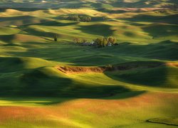 Drzewa, Domy, Pola, Steptoe Butte State Park, Region Palouse, Stan Waszyngton, Stany Zjednoczone