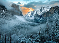 Zima, Mgła, Śnieg, Drzewa, Góry, Park Narodowy Yosemite, Kalifornia, Stany Zjednoczone