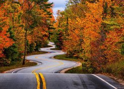 Jesień, Drzewa, Droga, Kręta, Hrabstwo Door, Wisconsin, Stany Zjednoczone