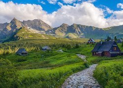 Hala Gąsienicowa, Królowe Rówienki, Droga, Góry Tatry, Drewniane, Domki, Zakopane, Polska