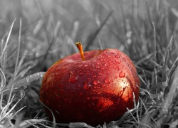 Krople wody na czerwonym jabłku