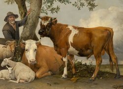 Krowy i owce pod drzewem na obrazie Paulusa Pottera