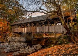 Kryty most nad rzeką jesienią