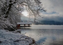 Niemcy, Bawaria, Zima, Jezioro Alpsee, Drzewa, Gałązki, Śnieg, Mgła, Chmury