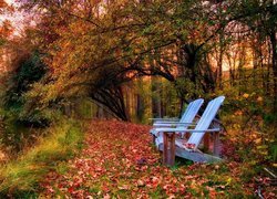Krzesła pod jesiennymi drzewami nad stawem