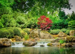 Ogród japoński, Potok, Kamienie, Głazy, Drzewa, Krzewy