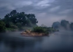 Krzewy i drzewa nad zamgloną rzeką